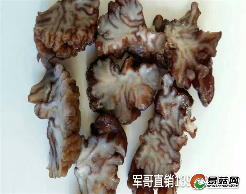 mmexport1486643580058_mh1486643673413