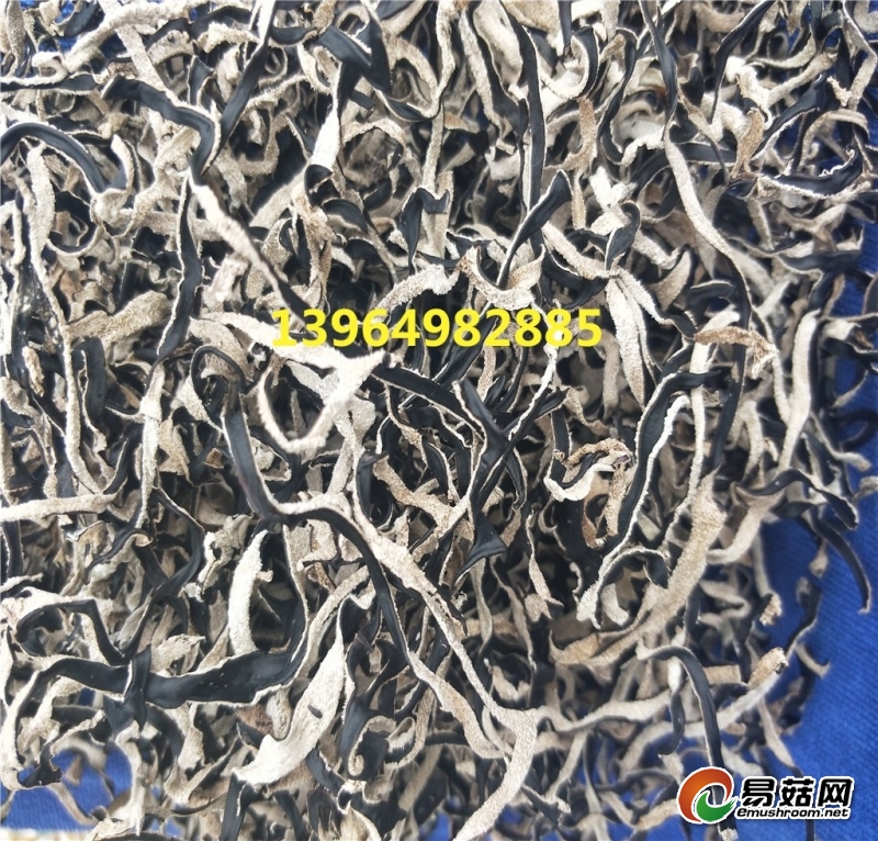 IMG20180512160642_副本