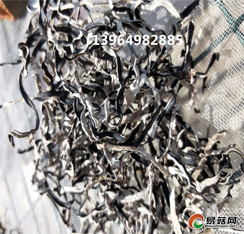 IMG20180509094853_副本