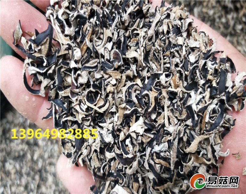 IMG20180530141425_副本