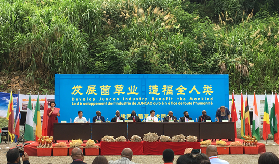 QQ截图20180626111612