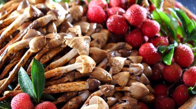 QQ截图20180626140248