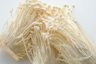 防治金针菇黑斑病