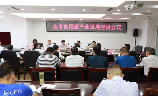 QQ截图20180628172400