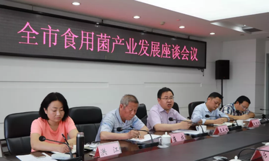 QQ截图20180628172420