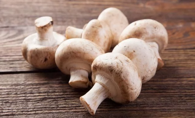 QQ截图20180629144603