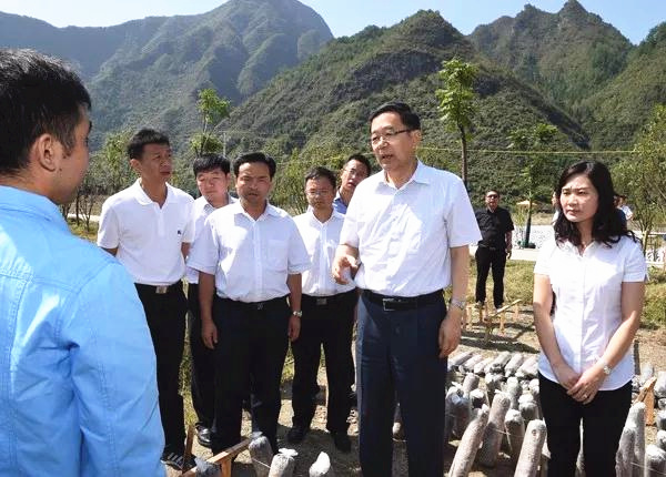 LOCAL201806291518000174947922166 (1)