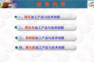 【每日一课】陈君琛：珍稀ManBetX体育加工产品与技术创新 ()