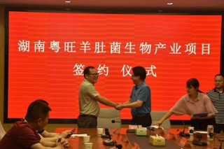 千亩ManBetX体育基地落户湖南常德 总投资达1亿元 ()