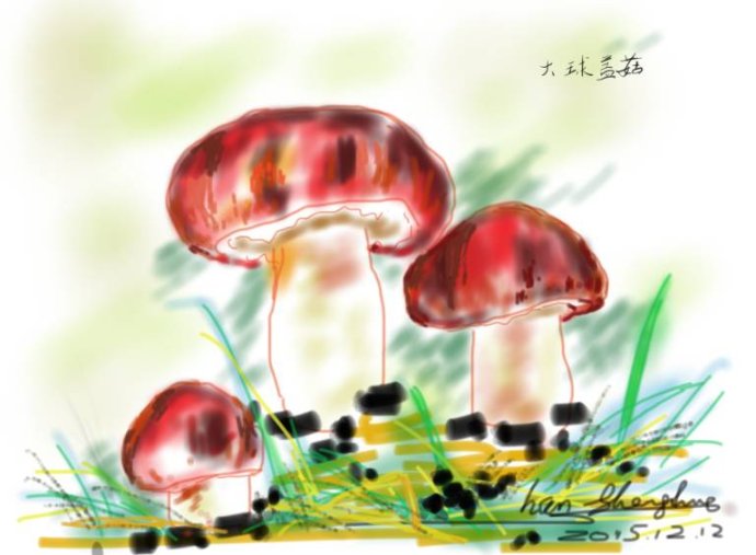 001sfI0szy7eFCxsDRZ5f&690