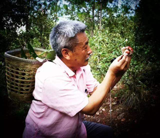 001sfI0szy7eFCBofFL69&690