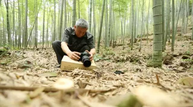 001sfI0szy7eFCEGmiW9e&690