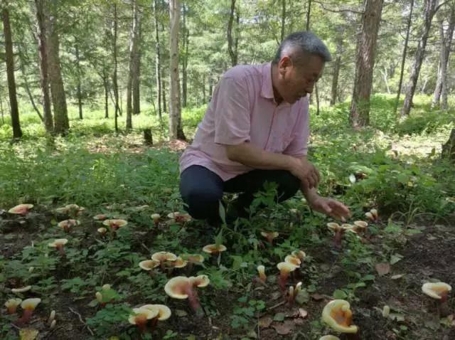 001sfI0szy7eFCIZzqa3a&690