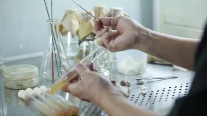 001sfI0szy7eFCNkDo662&690