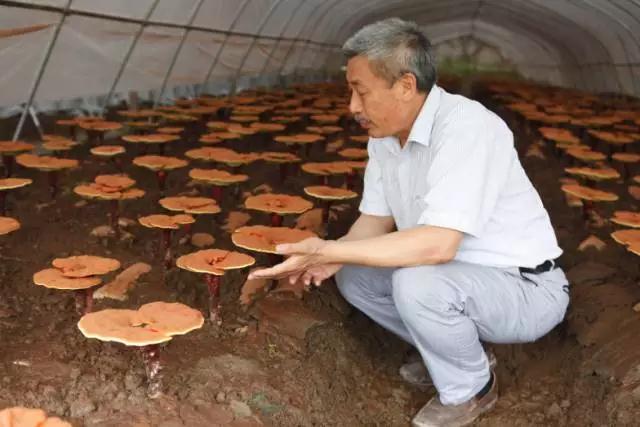 001sfI0szy7eFCPgxTV3f&690