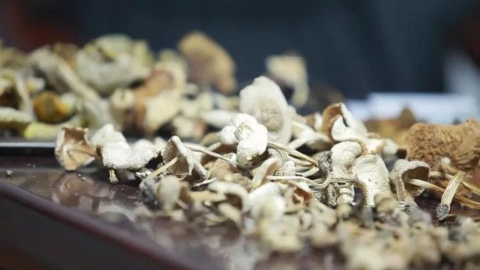 001sfI0szy7eFCUdaoUc8&690