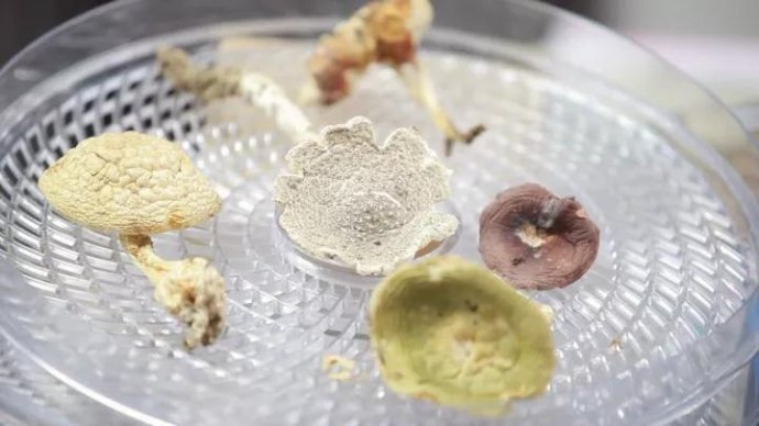 001sfI0szy7eFCVY1XFa7&690