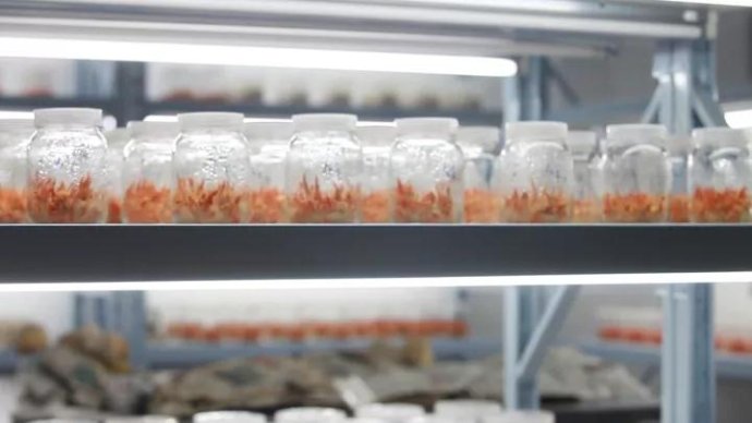 001sfI0szy7eFD1vXmzdb&690