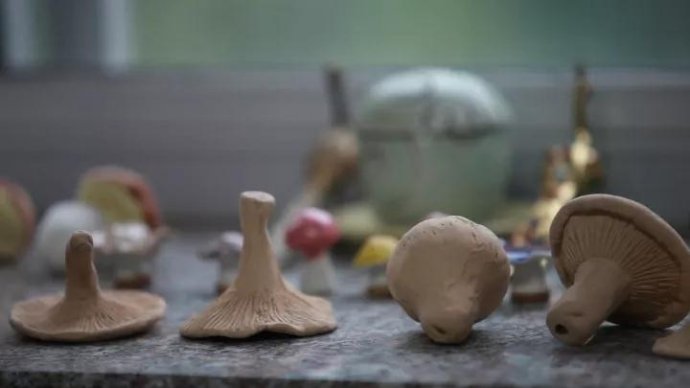 001sfI0szy7eFD5EeTg0a&690