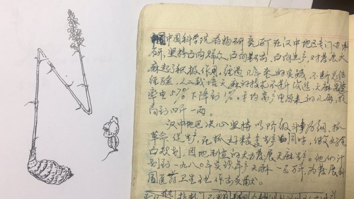 001sfI0szy7fD32M6Qm46&690