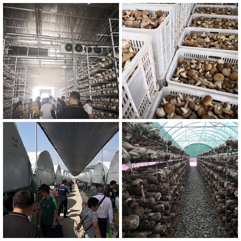 光影魔术手拼图