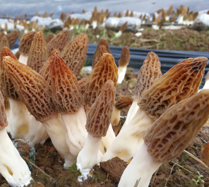 QQ截图20180710100505