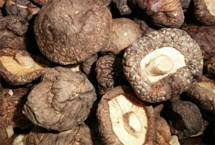 u=4017688292,3699833216&fm=27&gp=0