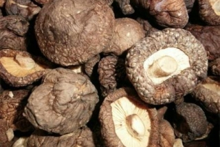 二氧化碳贮存香菇法