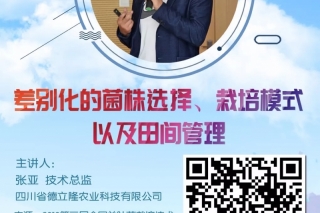 【每日一课】张亚：差别化的菌株选择、栽培模式以及田间管理 ()