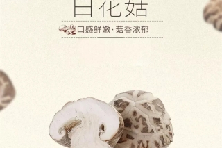 【易菇优选】随州农家土特产 裕国秋栽白花菇 ()