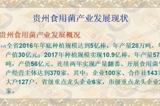 【每日一课】朱国胜：贵州食药用菌、冬荪ManBetX体育关键点 ()