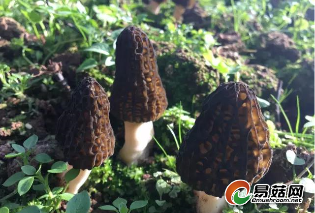 QQ图片20180714165649