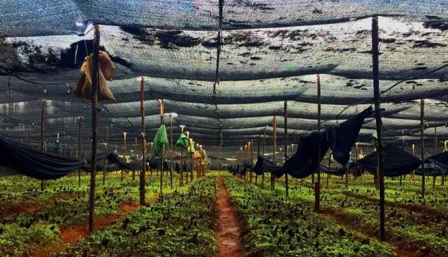 QQ图片20180714165717