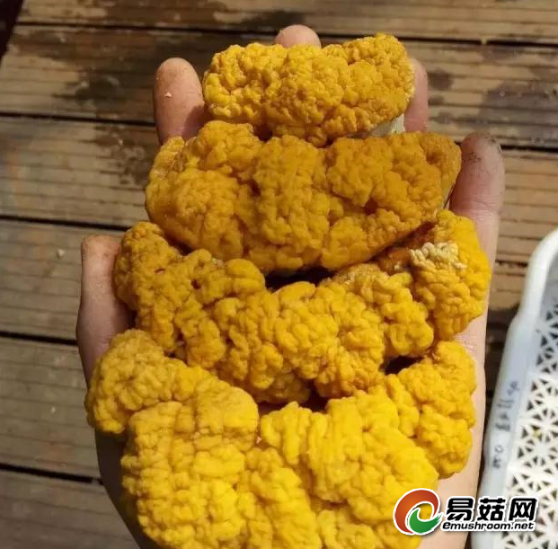 QQ图片20180714165838