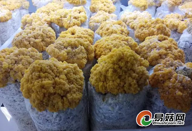 QQ图片20180714165901