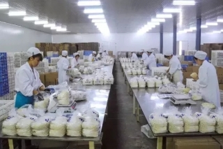 众兴菌业：扩张业务发展空间 战略部署“两步走” ()