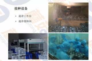 【每日一课】张亚：场地设计建设及设备设施机械的准备——ManBetX体育栽培的基础建设 ()