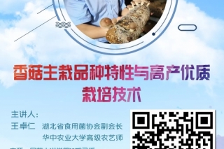 【每日一课】王卓仁：香菇主栽品种特性与高产优质Manbetx体育手机版V17版本发布.官网安卓网.香港 ()