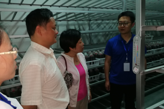 贵州省科技厅农村处项志宏处长一行考察贵州省农科院品资所红托竹荪科技成果在纳雍县转化情况 ()