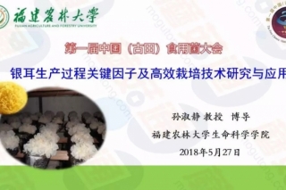 【每日一课】孙淑静：银耳生产过程关键因子及高效Manbetx体育手机版V17版本发布.官网安卓网.香港研究与应用 ()