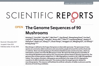 云南研究团队公布90种野生菌全基因组序列 ()