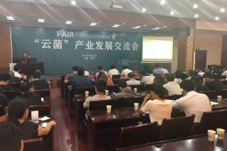 聚“菌英”之智 谋“云菌”之兴——“云菌”产业发展交流会侧记 ()