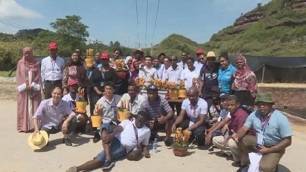 6CAD17AF3711D26C3862CC66A47ECFDDB4AF80F7_size44_w599_h337