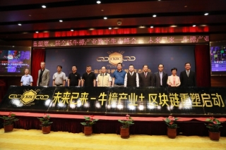 第一届全球牛樟产业数字生态峰会在京召开 ()