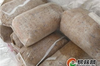 易菇网前往大别山区考察调研食药用菌产业  湖北英山茯苓发展强劲 ()