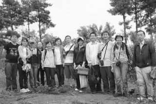 揭开金针菇的“身世”之谜 ()