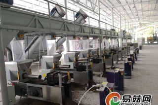 打造秋栽花菇新主产地 裕国菇业助力郧阳区脱贫攻坚 ()