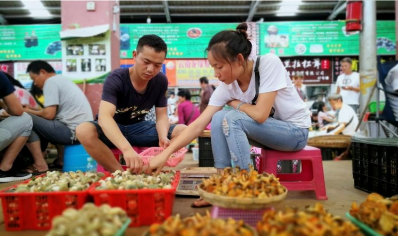 QQ截图20180806142314