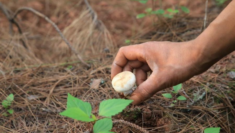 QQ截图20180806142338