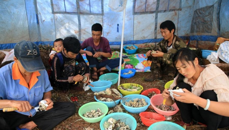 QQ截图20180806142350